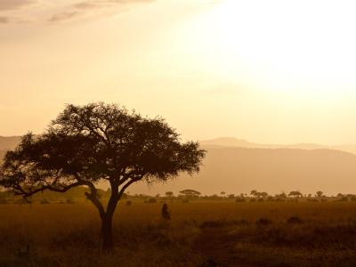 Die abenteuerliche Reise zum Mittelpunkt Afrikas - Uganda
