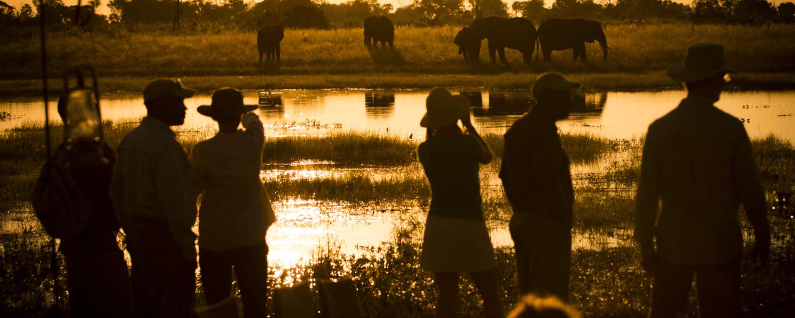 Abu Camp - Okavango Delta