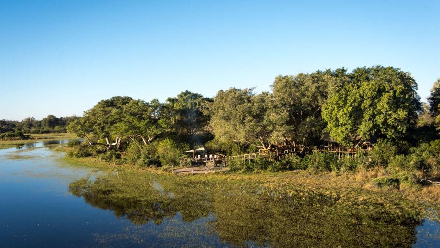 large focal 1901 tubu tree camp