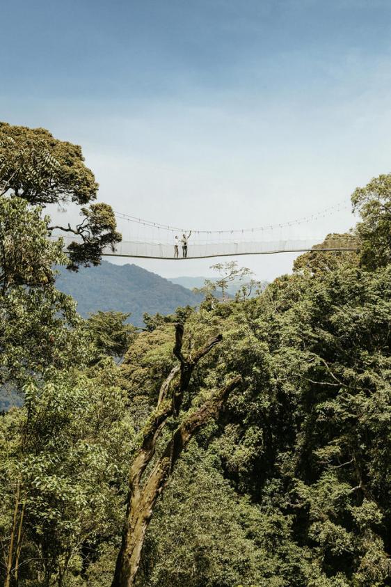 oonh lifestyle canopy walk 4 portrait 1